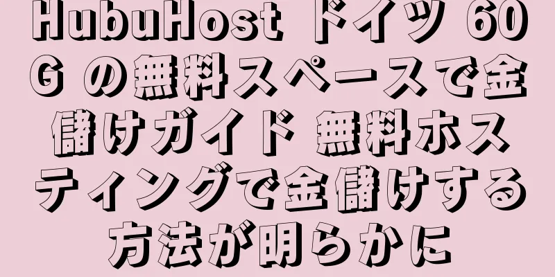 HubuHost ドイツ 60G の無料スペースで金儲けガイド 無料ホスティングで金儲けする方法が明らかに