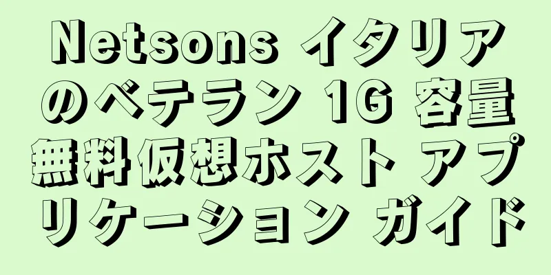 Netsons イタリアのベテラン 1G 容量無料仮想ホスト アプリケーション ガイド