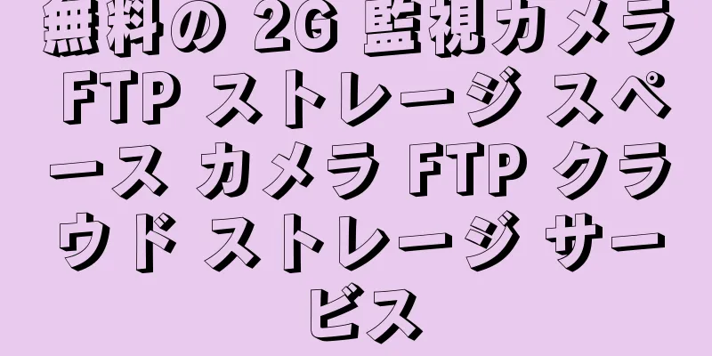 無料の 2G 監視カメラ FTP ストレージ スペース カメラ FTP クラウド ストレージ サービス