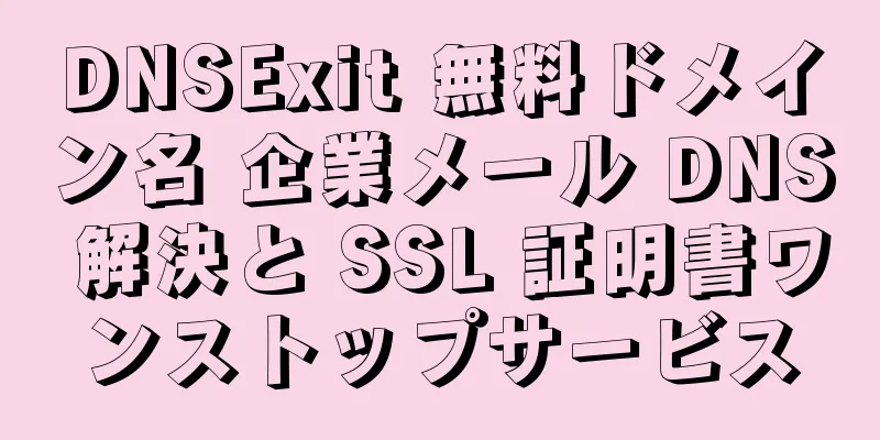 DNSExit 無料ドメイン名 企業メール DNS 解決と SSL 証明書ワンストップサービス