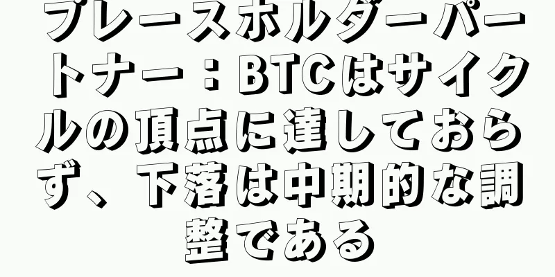 プレースホルダーパートナー：BTCはサイクルの頂点に達しておらず、下落は中期的な調整である