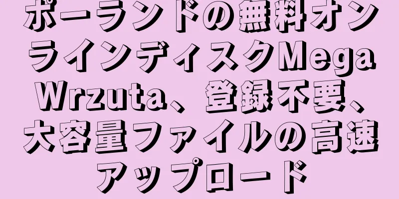 ポーランドの無料オンラインディスクMegaWrzuta、登録不要、大容量ファイルの高速アップロード