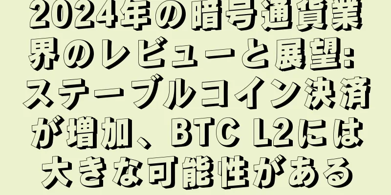 2024年の暗号通貨業界のレビューと展望: ステーブルコイン決済が増加、BTC L2には大きな可能性がある