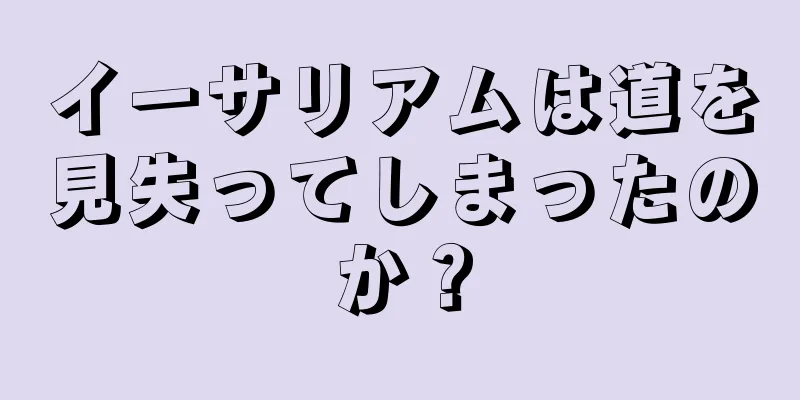 イーサリアムは道を見失ってしまったのか？