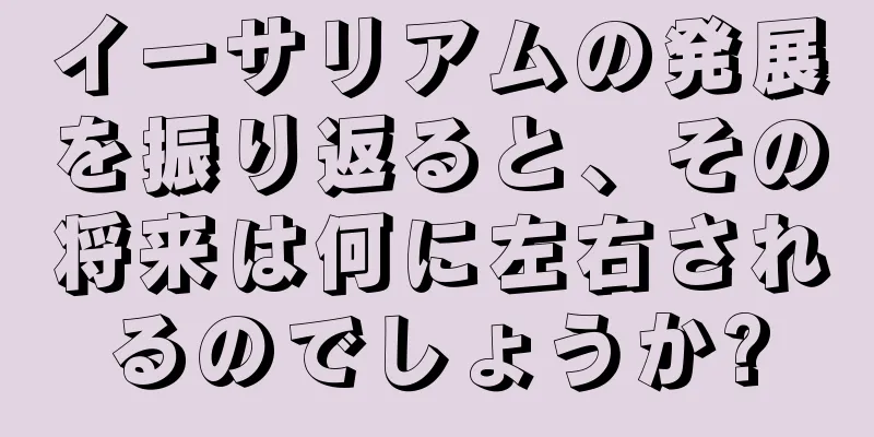 イーサリアムの発展を振り返ると、その将来は何に左右されるのでしょうか?