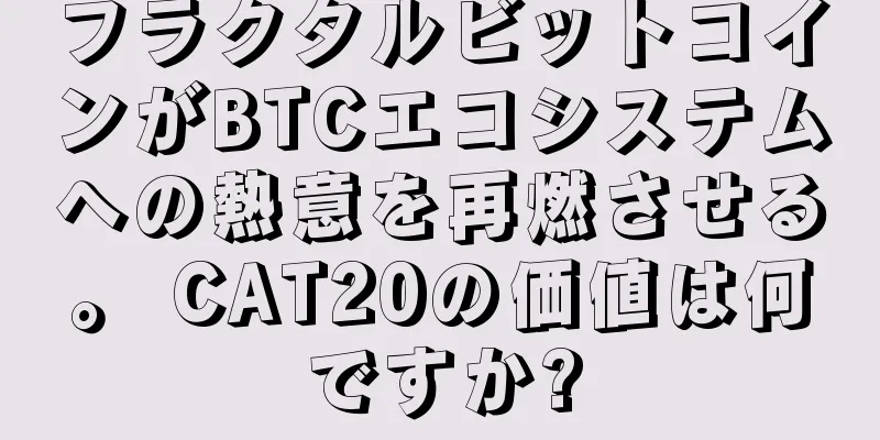 フラクタルビットコインがBTCエコシステムへの熱意を再燃させる。 CAT20の価値は何ですか?