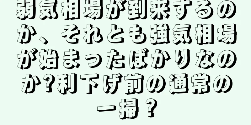 弱気相場が到来するのか、それとも強気相場が始まったばかりなのか?利下げ前の通常の一掃？