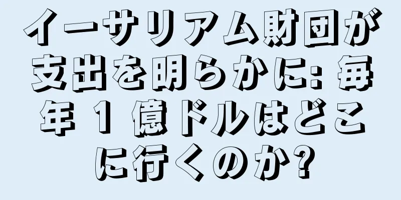 イーサリアム財団が支出を明らかに: 毎年 1 億ドルはどこに行くのか?