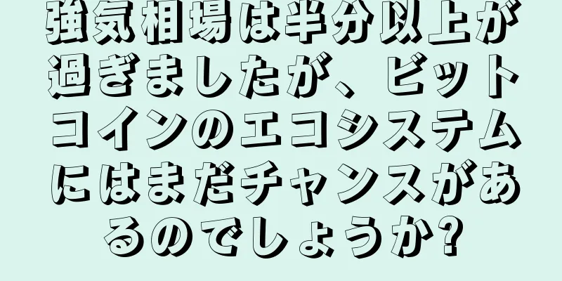 強気相場は半分以上が過ぎましたが、ビットコインのエコシステムにはまだチャンスがあるのでしょうか?