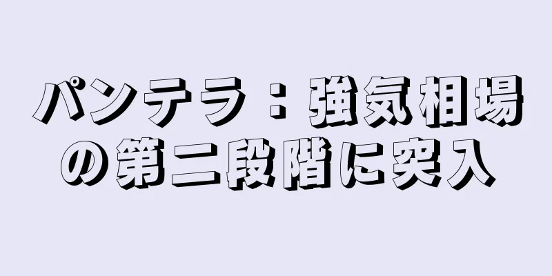 パンテラ：強気相場の第二段階に突入