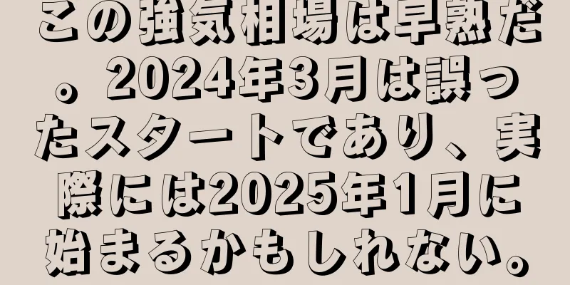 この強気相場は早熟だ。2024年3月は誤ったスタートであり、実際には2025年1月に始まるかもしれない。