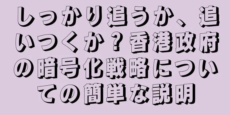 しっかり追うか、追いつくか？香港政府の暗号化戦略についての簡単な説明