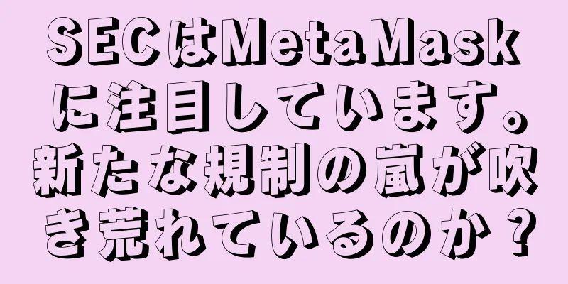 SECはMetaMaskに注目しています。新たな規制の嵐が吹き荒れているのか？