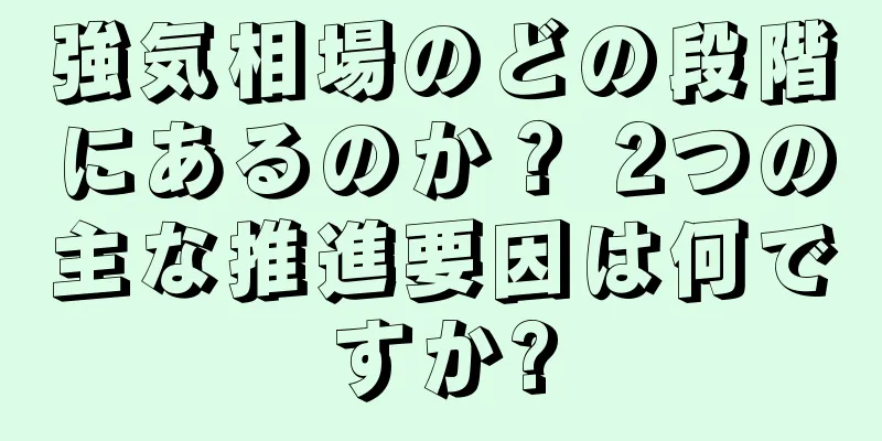 強気相場のどの段階にあるのか？ 2つの主な推進要因は何ですか?