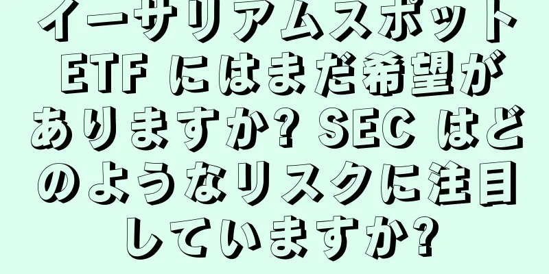 イーサリアムスポット ETF にはまだ希望がありますか? SEC はどのようなリスクに注目していますか?