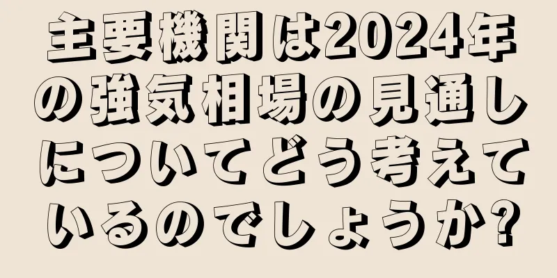 主要機関は2024年の強気相場の見通しについてどう考えているのでしょうか?