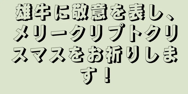 雄牛に敬意を表し、メリークリプトクリスマスをお祈りします！