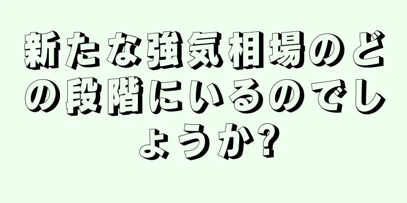 新たな強気相場のどの段階にいるのでしょうか?