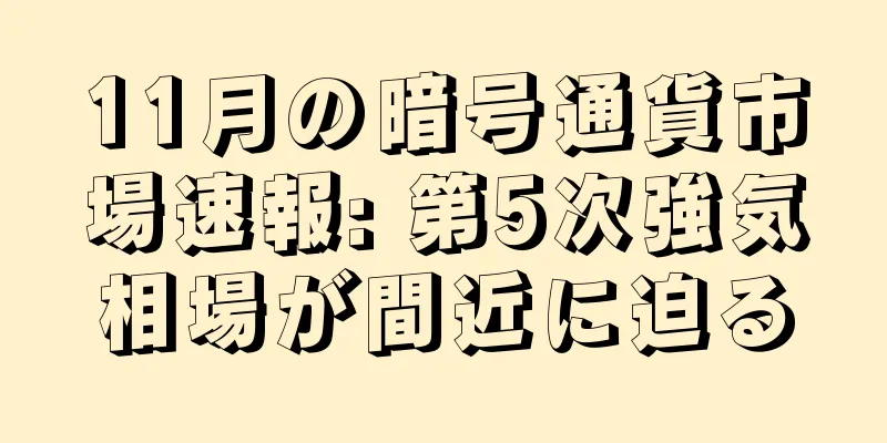 11月の暗号通貨市場速報: 第5次強気相場が間近に迫る