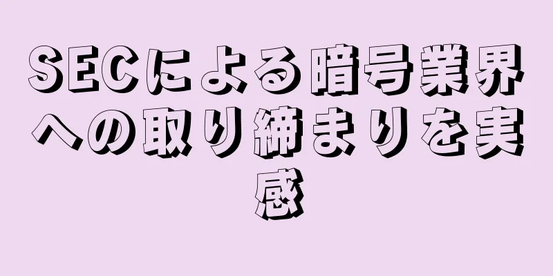 SECによる暗号業界への取り締まりを実感