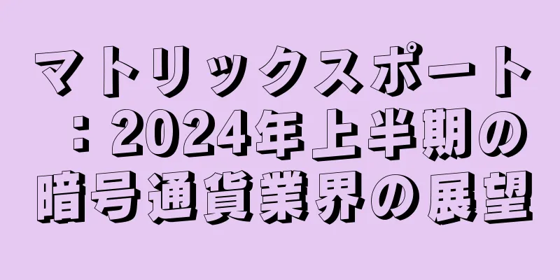 マトリックスポート：2024年上半期の暗号通貨業界の展望