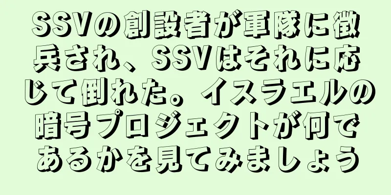 SSVの創設者が軍隊に徴兵され、SSVはそれに応じて倒れた。イスラエルの暗号プロジェクトが何であるかを見てみましょう