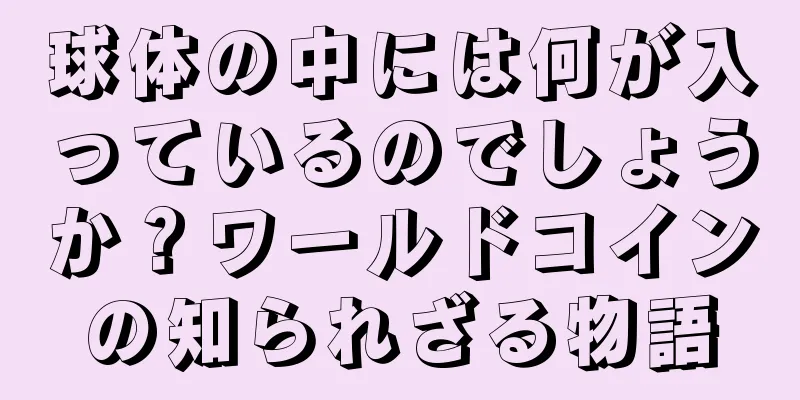 球体の中には何が入っているのでしょうか？ワールドコインの知られざる物語