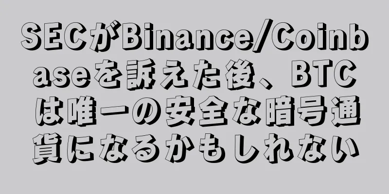 SECがBinance/Coinbaseを訴えた後、BTCは唯一の安全な暗号通貨になるかもしれない