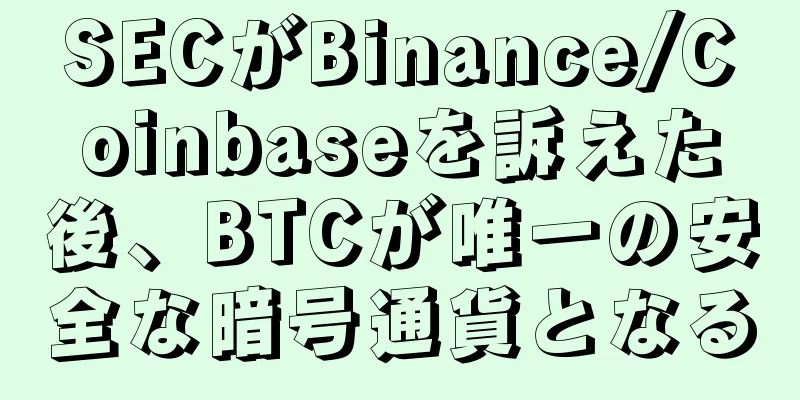 SECがBinance/Coinbaseを訴えた後、BTCが唯一の安全な暗号通貨となる