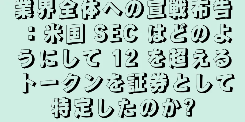 業界全体への宣戦布告：米国 SEC はどのようにして 12 を超えるトークンを証券として特定したのか?
