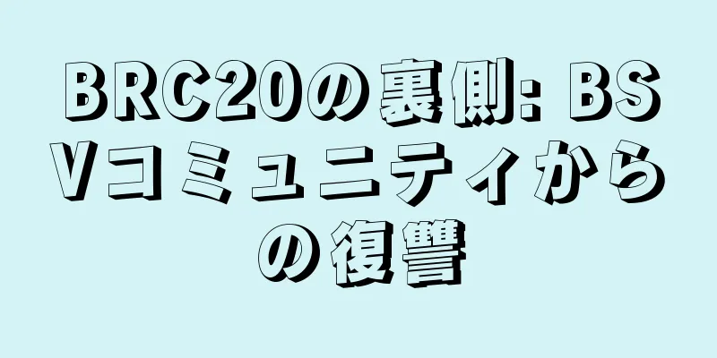 BRC20の裏側: BSVコミュニティからの復讐