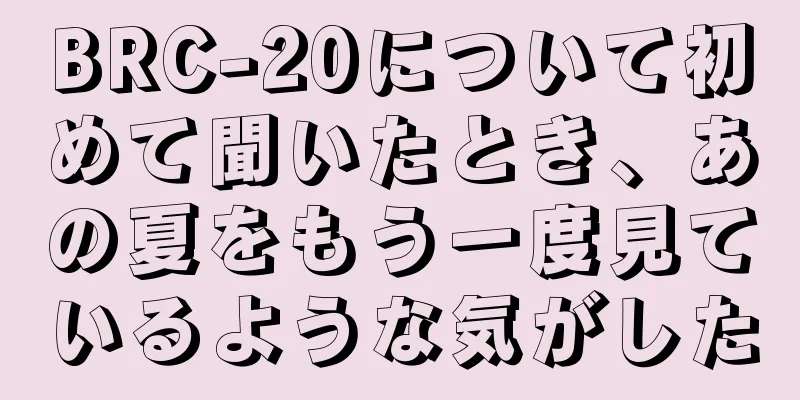 BRC-20について初めて聞いたとき、あの夏をもう一度見ているような気がした