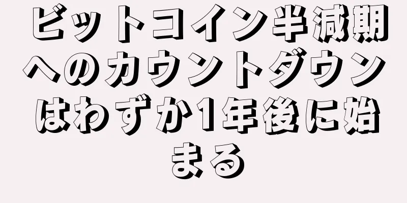ビットコイン半減期へのカウントダウンはわずか1年後に始まる