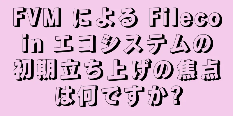 FVM による Filecoin エコシステムの初期立ち上げの焦点は何ですか?