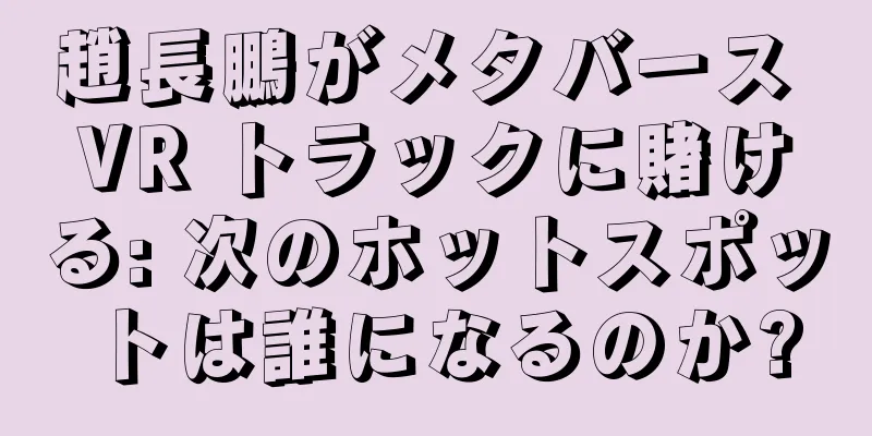趙長鵬がメタバース VR トラックに賭ける: 次のホットスポットは誰になるのか?
