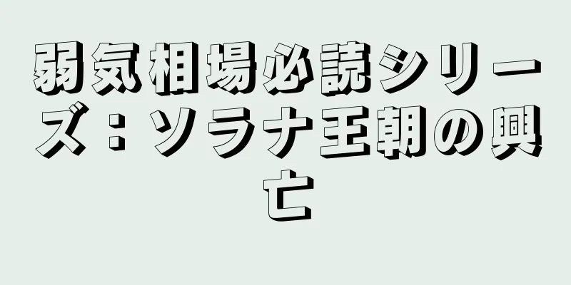 弱気相場必読シリーズ：ソラナ王朝の興亡