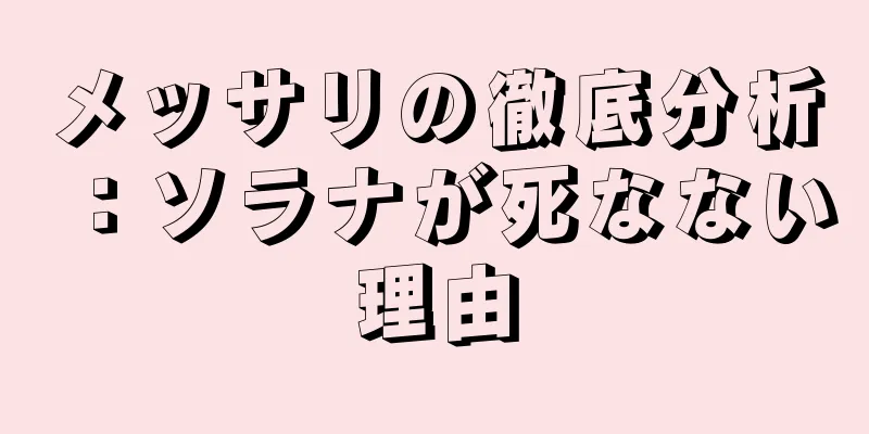 メッサリの徹底分析：ソラナが死なない理由