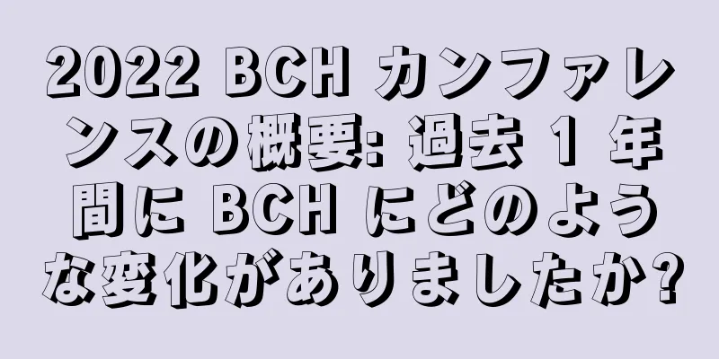 2022 BCH カンファレンスの概要: 過去 1 年間に BCH にどのような変化がありましたか?
