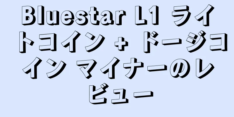Bluestar L1 ライトコイン + ドージコイン マイナーのレビュー