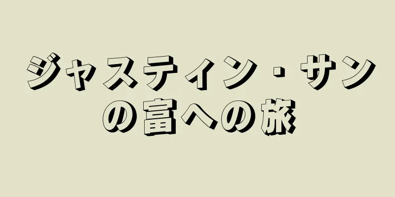 ジャスティン・サンの富への旅