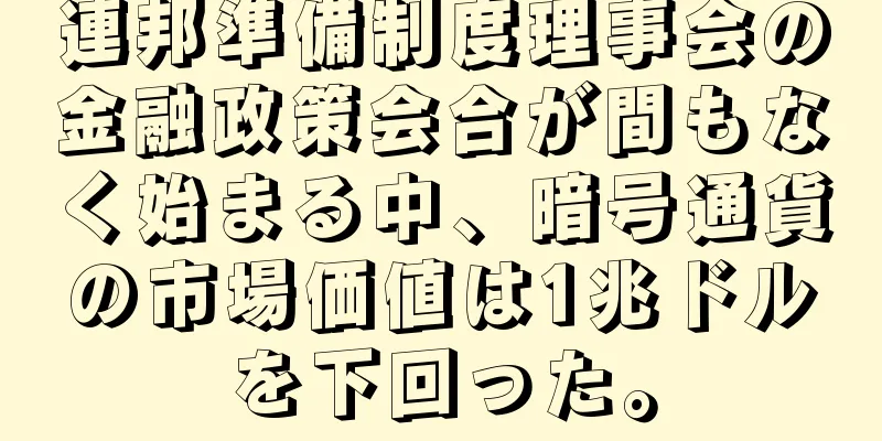 連邦準備制度理事会の金融政策会合が間もなく始まる中、暗号通貨の市場価値は1兆ドルを下回った。