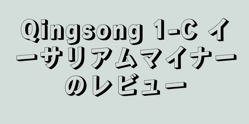 Qingsong 1-C イーサリアムマイナーのレビュー