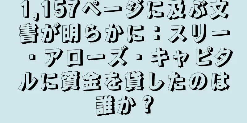 1,157ページに及ぶ文書が明らかに：スリー・アローズ・キャピタルに資金を貸したのは誰か？