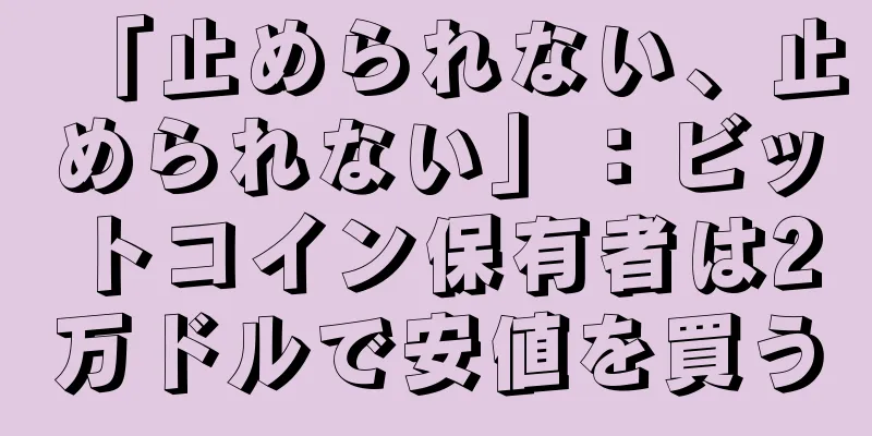 「止められない、止められない」：ビットコイン保有者は2万ドルで安値を買う