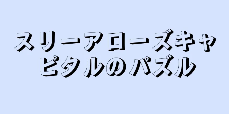 スリーアローズキャピタルのパズル