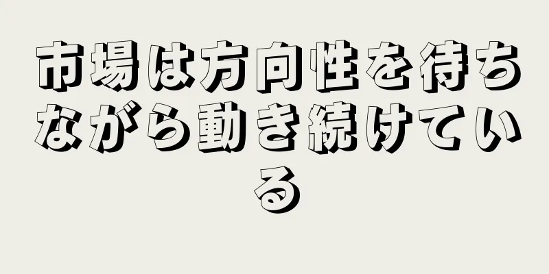 市場は方向性を待ちながら動き続けている