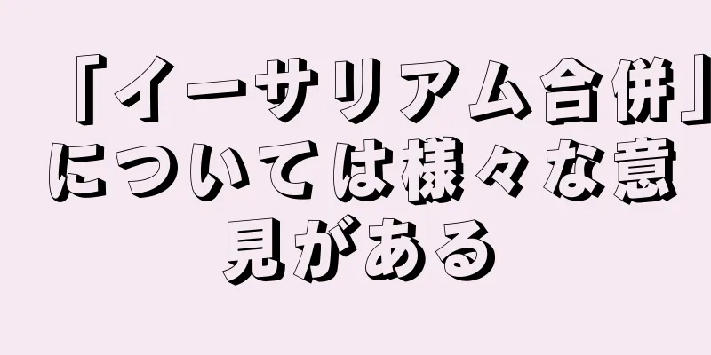 「イーサリアム合併」については様々な意見がある