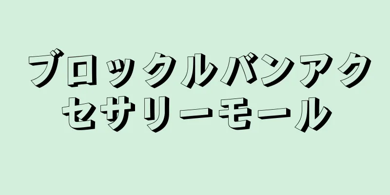 ブロックルバンアクセサリーモール