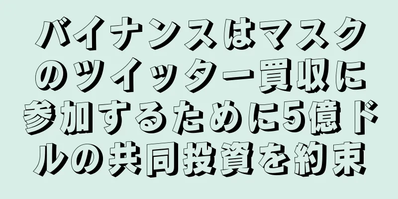 バイナンスはマスクのツイッター買収に参加するために5億ドルの共同投資を約束