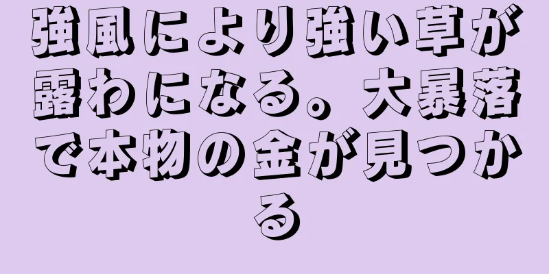 強風により強い草が露わになる。大暴落で本物の金が見つかる